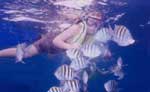 Cozumel Snorkeling Tour