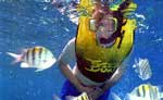 Cozumel Snorkeling