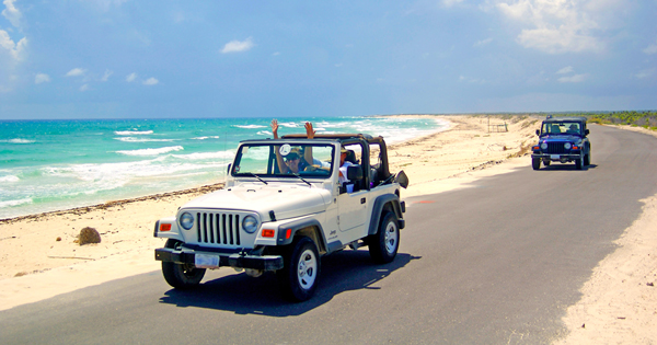 Jeep in Jungle & Snorkeling Tour in Cozumel