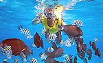 Snorkeling Tour Cozumel