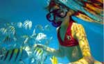 Cozumel Snorkeling Tour