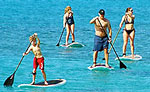 Mr Sancho s  Paddleboarding Cozumel