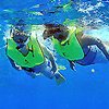 Palancar Reef Snorkeling Cozumel