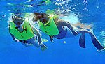 Cozumel Reef Snorkeling
