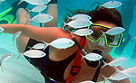 Cozumel Snuba