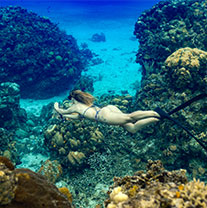 Underwater Cozumel