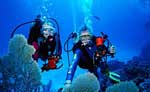 Cozumel Scuba Diving