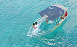 glass boat marine life cozumel