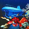Atlantis Submarine Cozumel