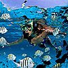 Glass Bottom Boat Cozumel