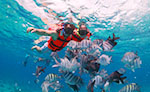 Snorkeling Cozumel Great Mayan Reef underwater