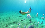 Cozumel Snorkeling Tour from Cancun