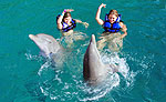 Couples Dolphin Swim Riviera Maya