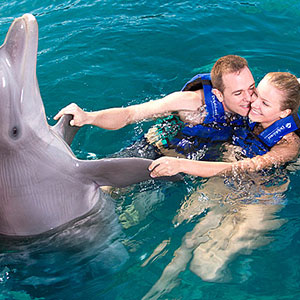 Couples Dream Dolphin Swim