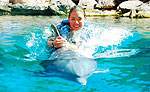 Dolphin Swimming at Aquarium Cancun