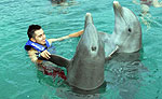 Punta Cancun Dolphin Ride
