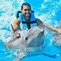 Dolphin Swim & Ride Playa del Carmen