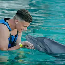 Xel Ha Dolphins