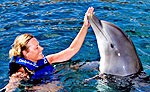 Dolphin Swimming at Xel Ha Cancun