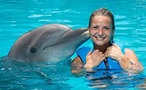 Dolphin Swimming at Aquarium Cancun