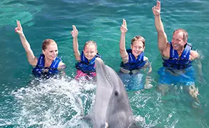 Dolphin Swim Xcaret