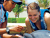 Dolphin Swimming at Xel Ha