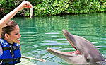 Dolphin Trainer Riviera Maya