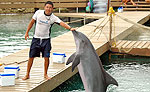 Xel Ha Dolphins, Riviera Maya Mexico