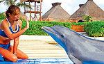 Cancun Dolphin Trainer