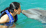 Dolphin Trainer for a Day