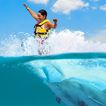 Cancun Dolphin Swim