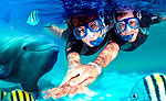 Xel Ha Dolphin Swim Cancun