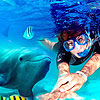 Xel Ha Dolphin Swim