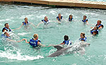 Dolphins and Xcaret at Night