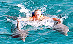 Playa del Carmen Dolphin Swims