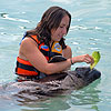 Manatees