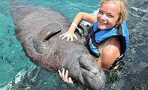 Isla Mujeres Manatee Encounter
