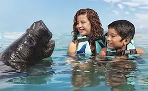 Isla Mujeres Manatee Swim