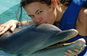 Xel Ha Dolphin Swim