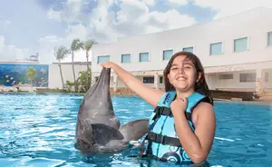 Dolphin Discovery