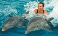 Isla Mujeres Dolphins