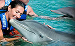 Xcaret Dolphin Swimming