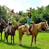 Cozumel Horseback Ride & Canopy