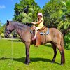 Jungle Horseback Riding Tour