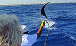 Riviera Maya Catamaran Charter