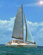 Catamaran Sailing