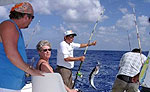 Cancun Bottom Fishing