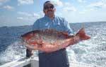 Cozumel Bottom Fishing