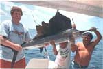 Cozumel Sportfishing