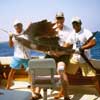 Cozumel Deep Sea Fishing